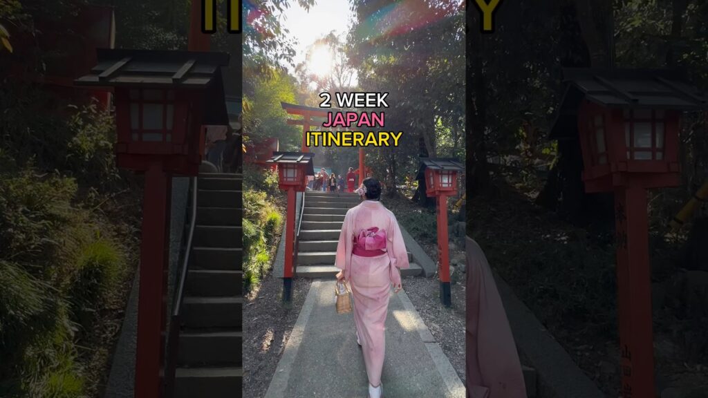 2-WEEK JAPAN ITINERARY 🇯🇵‼️ #japan #travel #traveltips #travelguide